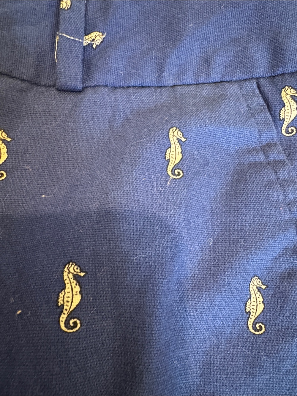 Banana Republic Navy Blue Hampton Fit Shorts with Polka Trim - Picture 3 of 4